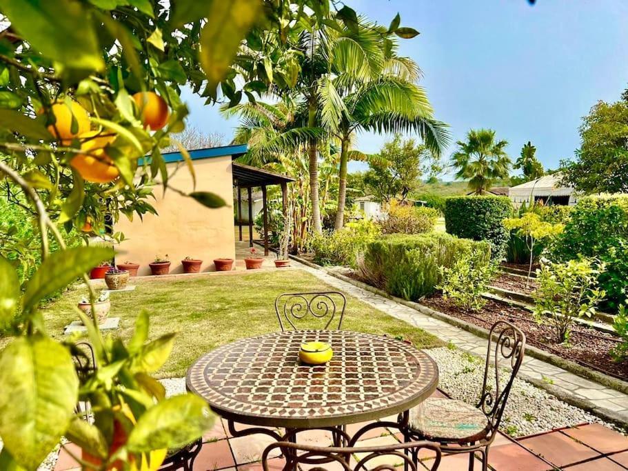 Finca Tierra Sana Estepona Kültér fotó