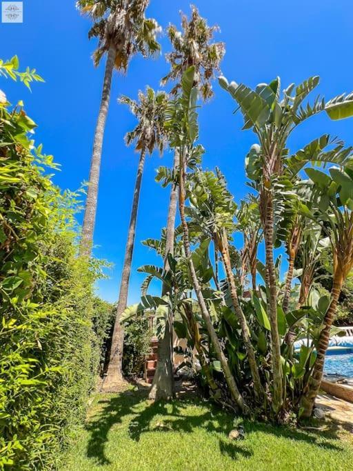 Finca Tierra Sana Estepona Kültér fotó