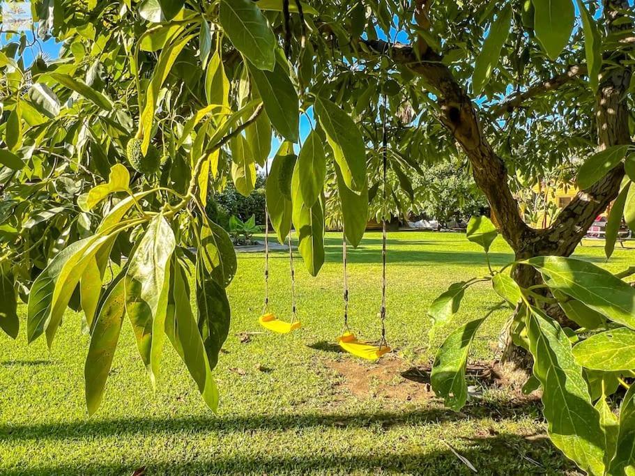 Finca Tierra Sana Estepona Kültér fotó