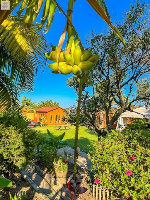 Finca Tierra Sana Estepona Kültér fotó